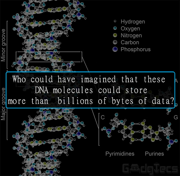 DNA data storage