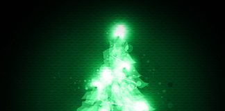 Scientists Create Renewable Plastic from Christmas Trees