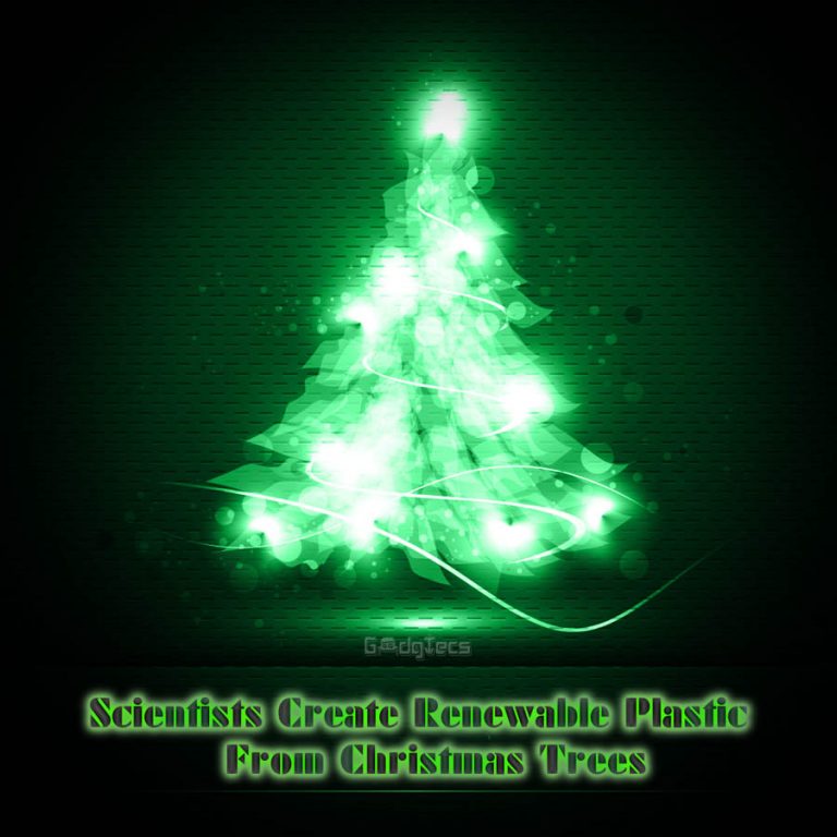 Scientists Create Renewable Plastic from Christmas Trees