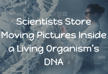 Scientists Store Moving Pictures Inside a Living Organism’s DNA