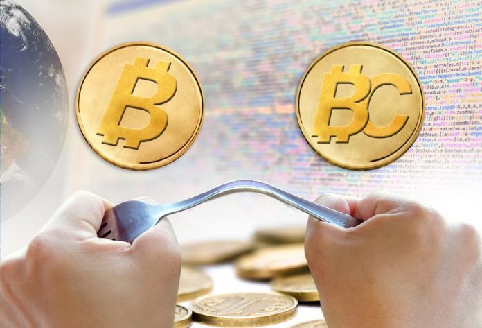 bitcoin vs bitcoin cash bitcoin vs bitcoin cash