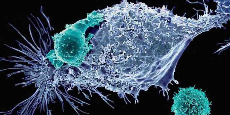 Modified T-Cells to kill cancer