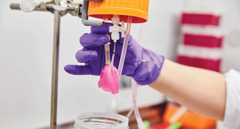 rat lung with human cells