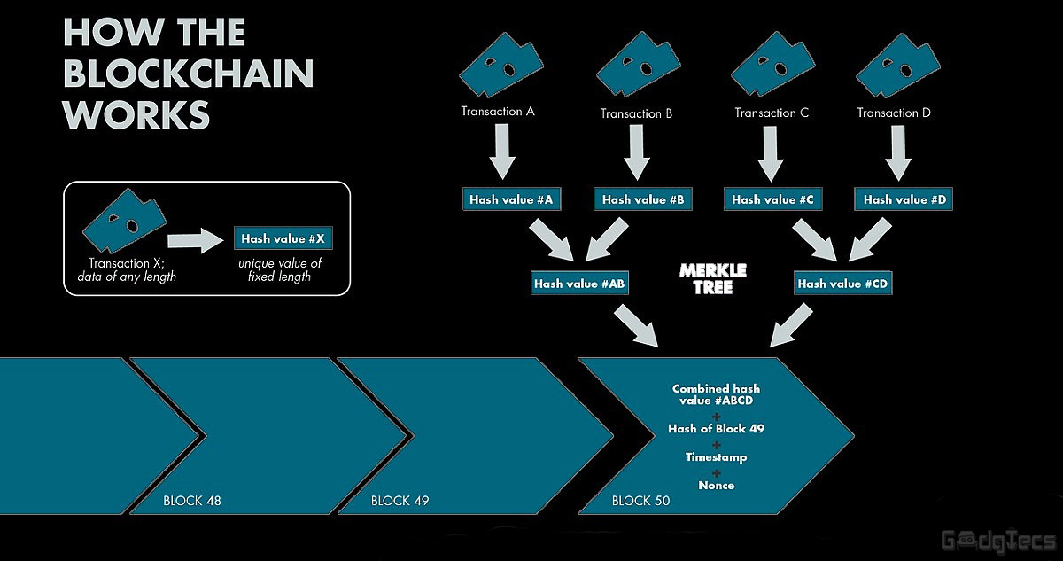 using-blockchain-for-activism-the-pros-the-cons