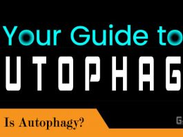 GUIDE TO AUTOPHAGY