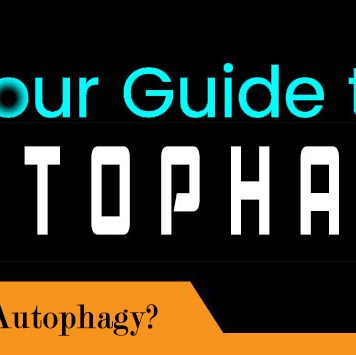 GUIDE TO AUTOPHAGY